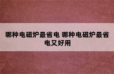 哪种电磁炉最省电 哪种电磁炉最省电又好用